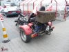 Mrowisko 2012 00162